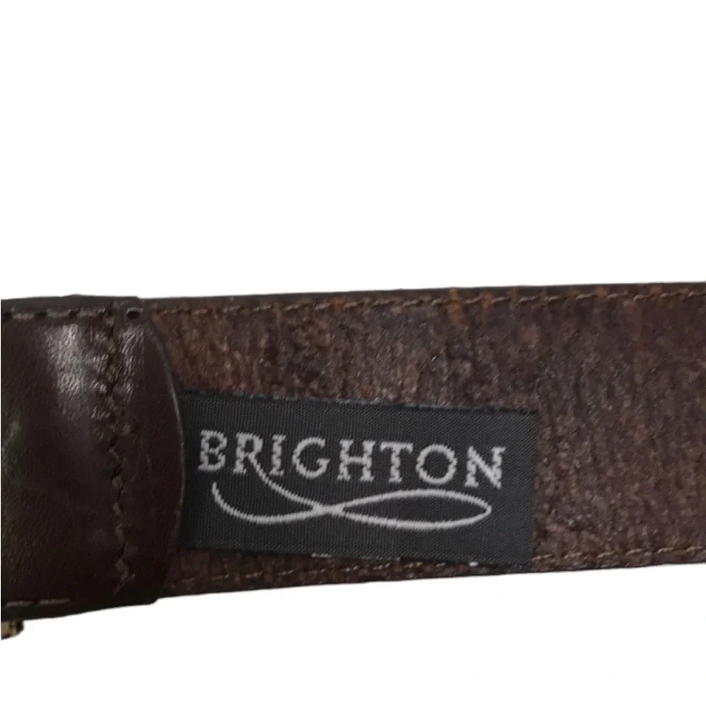Brighton Brown Belt Brown